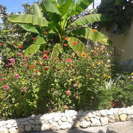 Guesthouse On Kabardinskaya 139A Gagra Kültér fotó