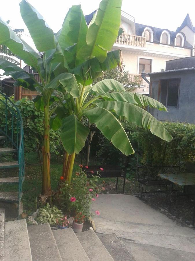 Guesthouse On Kabardinskaya 139A Gagra Kültér fotó