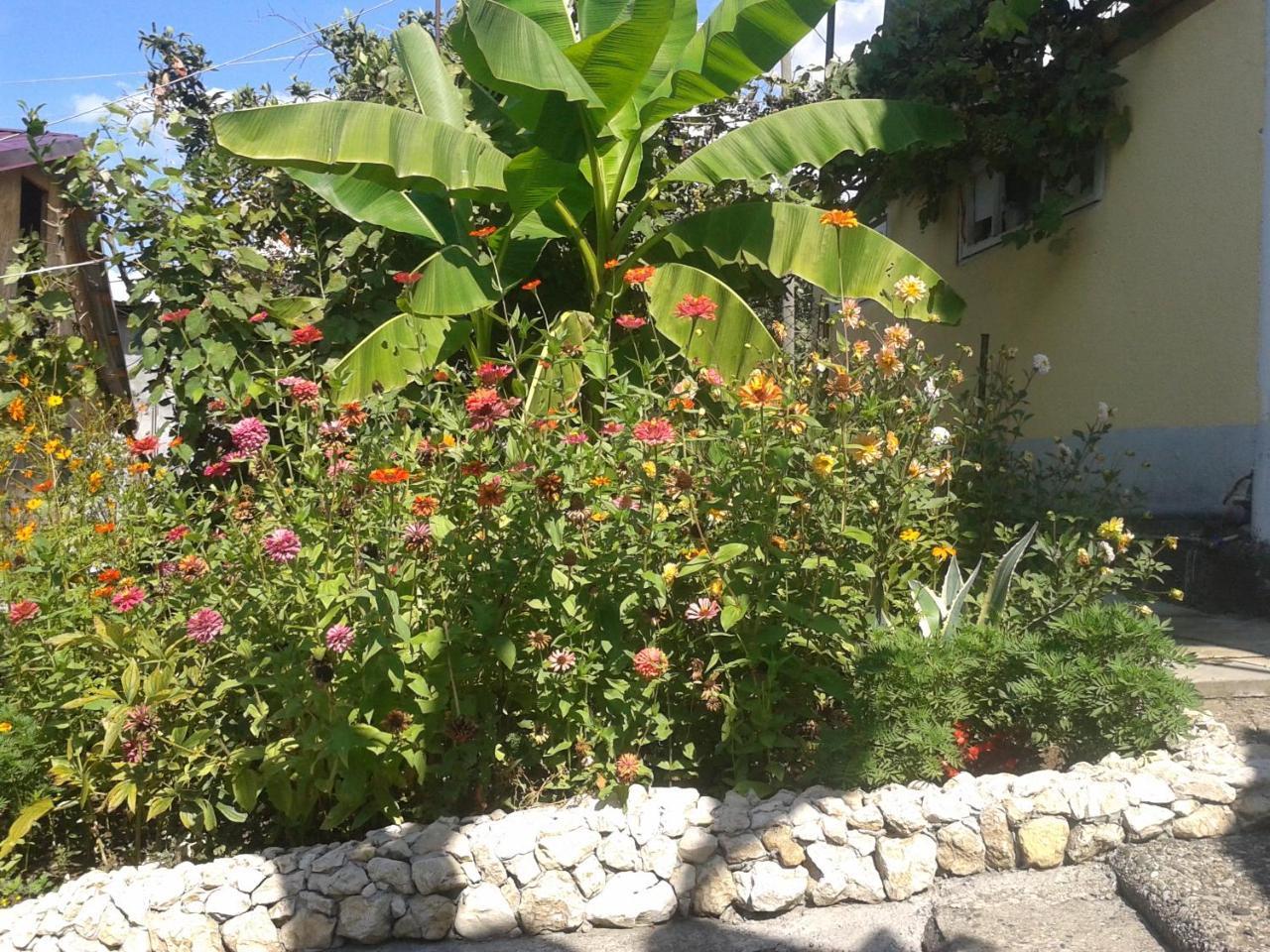 Guesthouse On Kabardinskaya 139A Gagra Kültér fotó